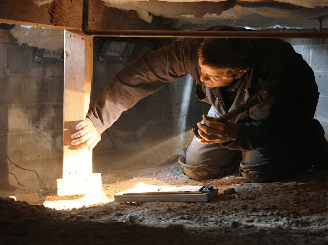 A professional inspecting wooden beams under the floor of a structure in Evansville, IN